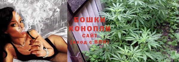 не бодяженный Михайлов